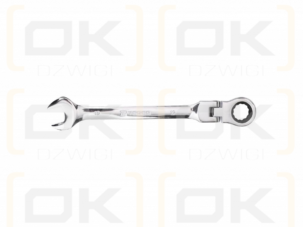 Ratcheting open-end wrench, articulated, 19 mm, Teger