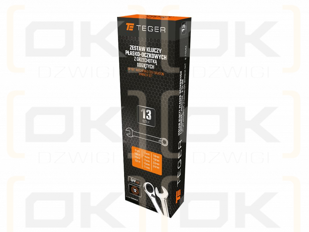 Set of ratcheting open-end wrenches, angled, 8-24 mm, 13 pcs, Teger