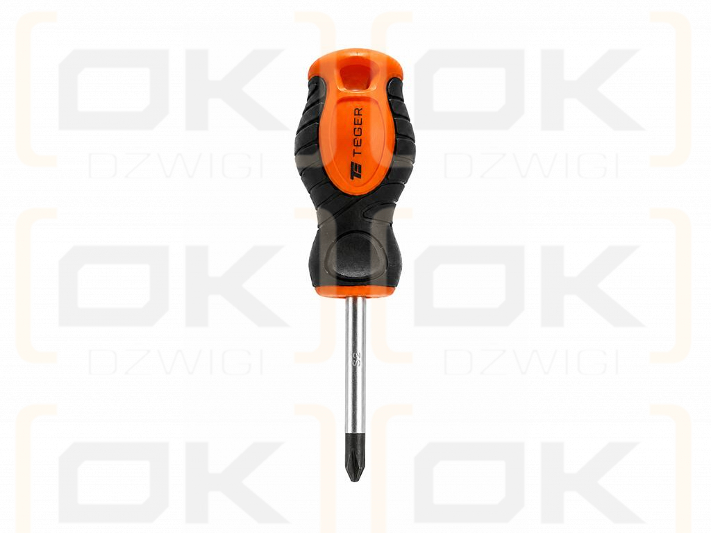 Phillips screwdriver PH 2x38mm, Teger