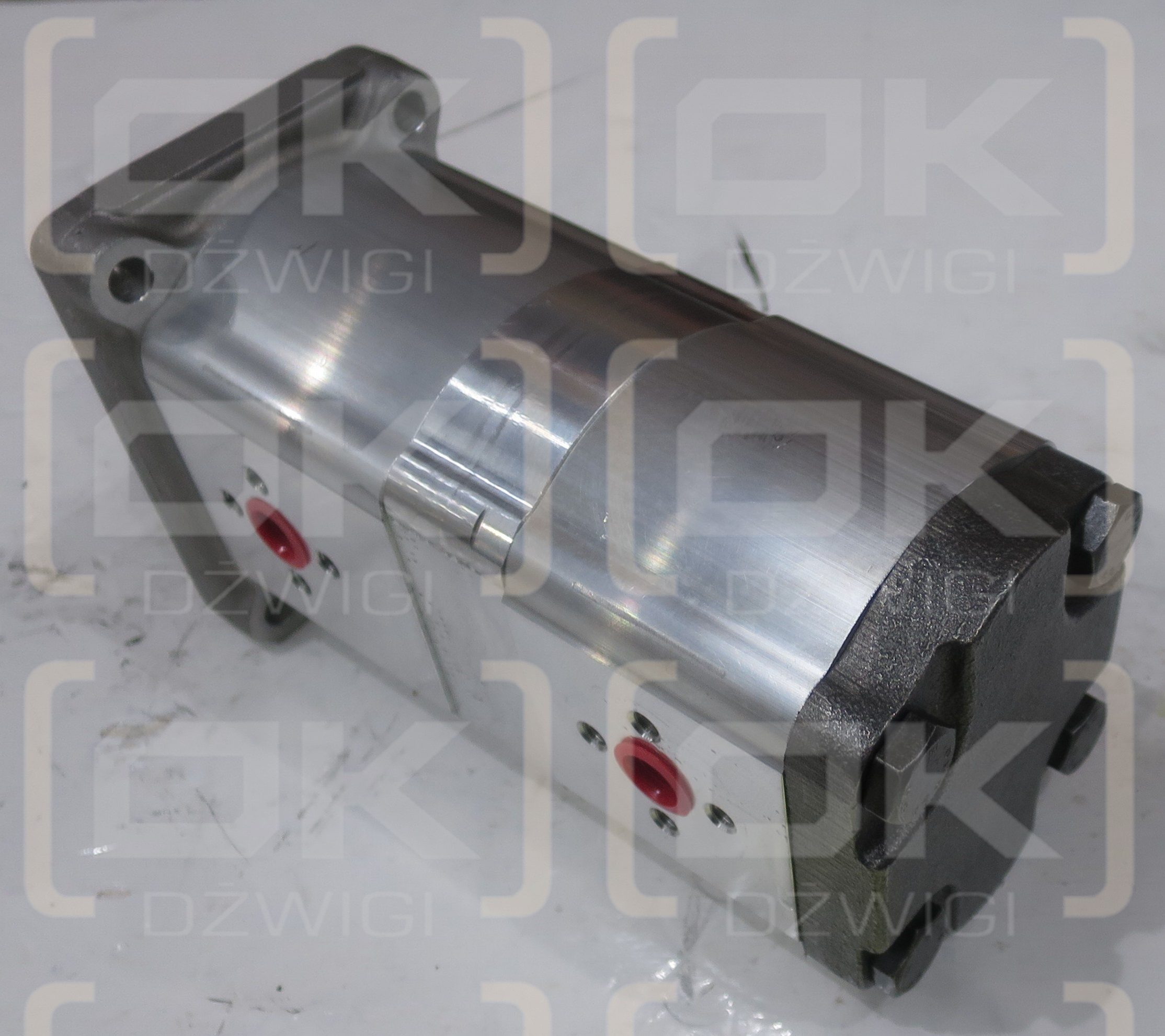 EQUIVALENTE BETA 1PL0441PL036A 8081