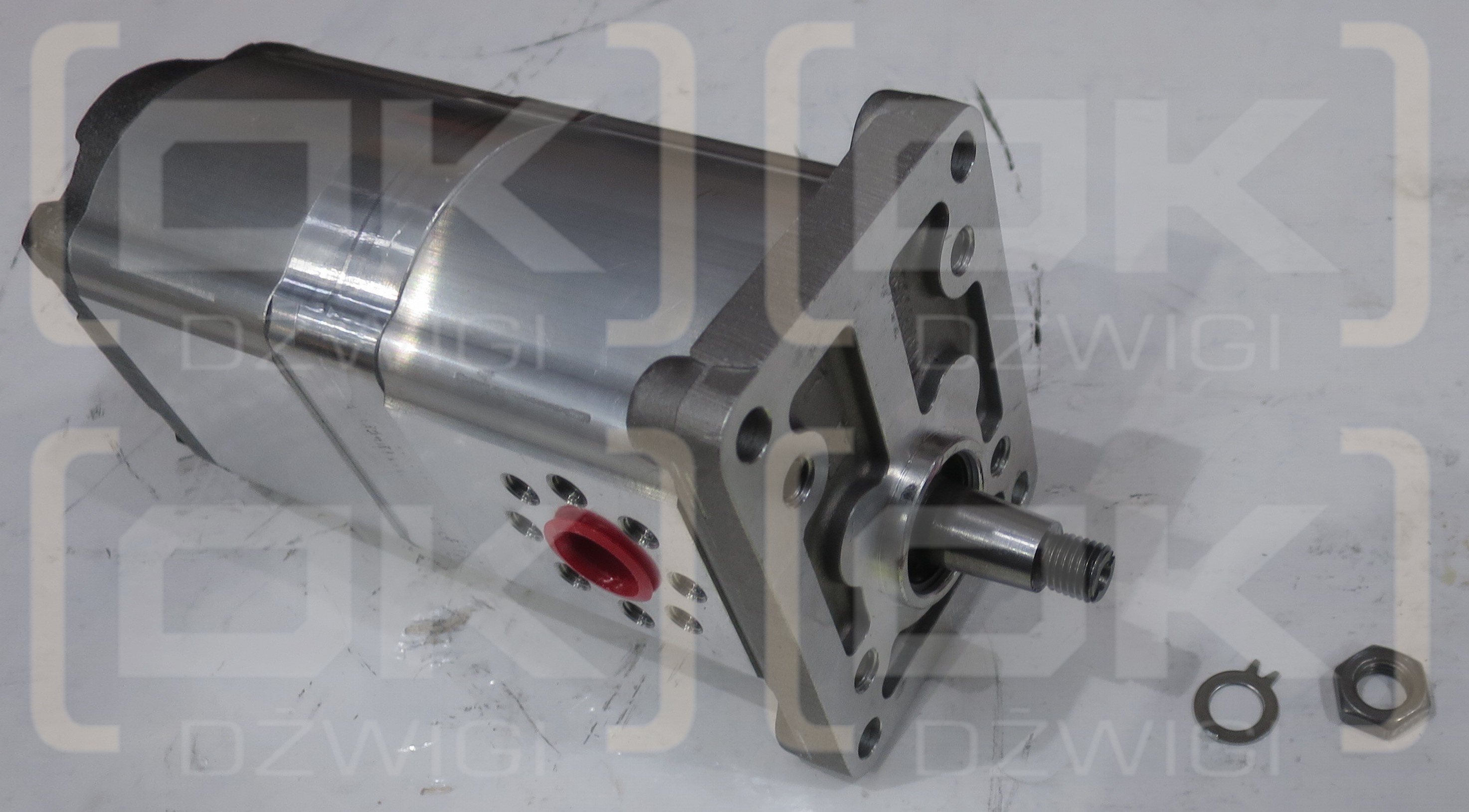 EQUIVALENTE BETA 1PL0441PL036A 8081