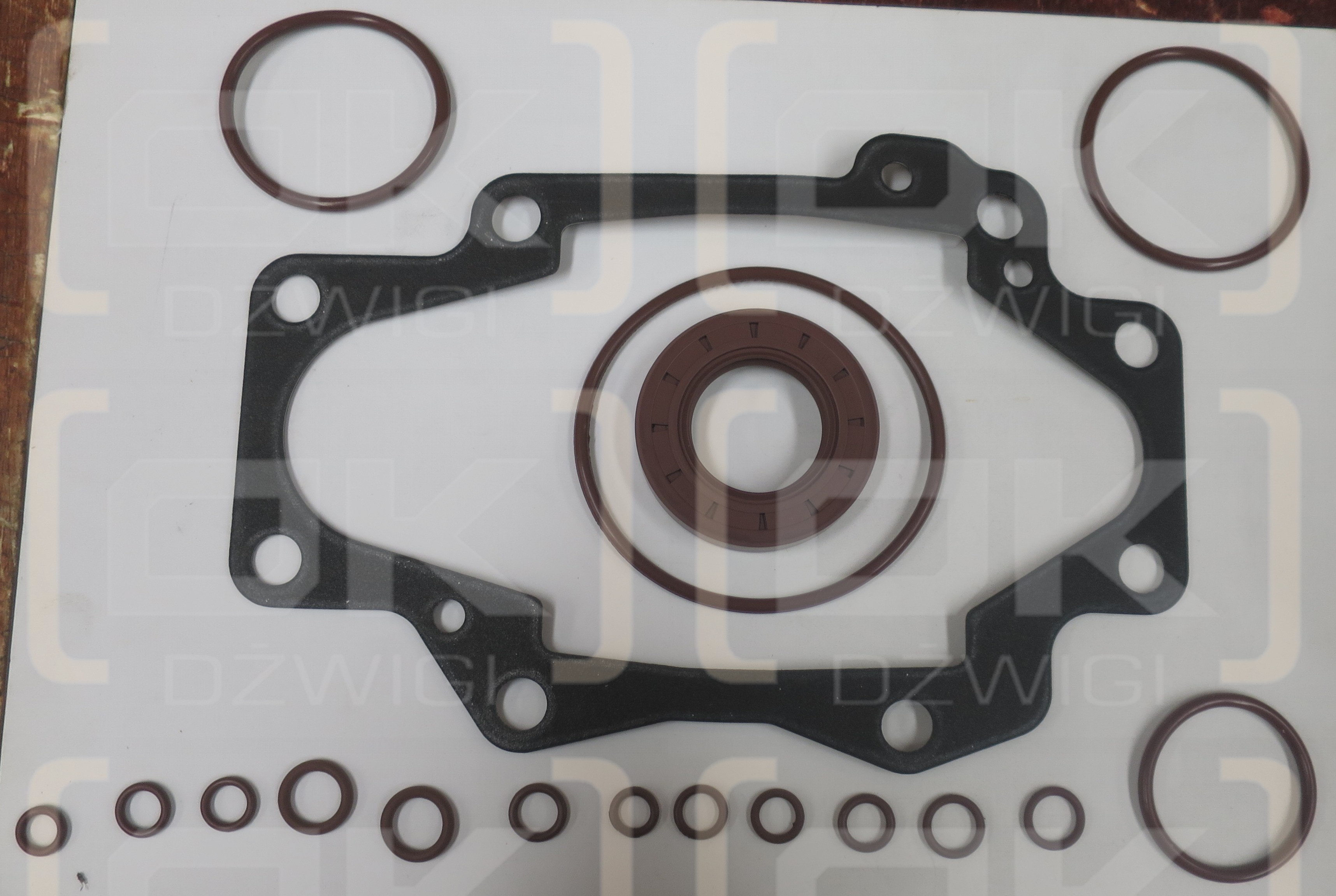NACHI PVD-2B DICHTUNGSSATZ