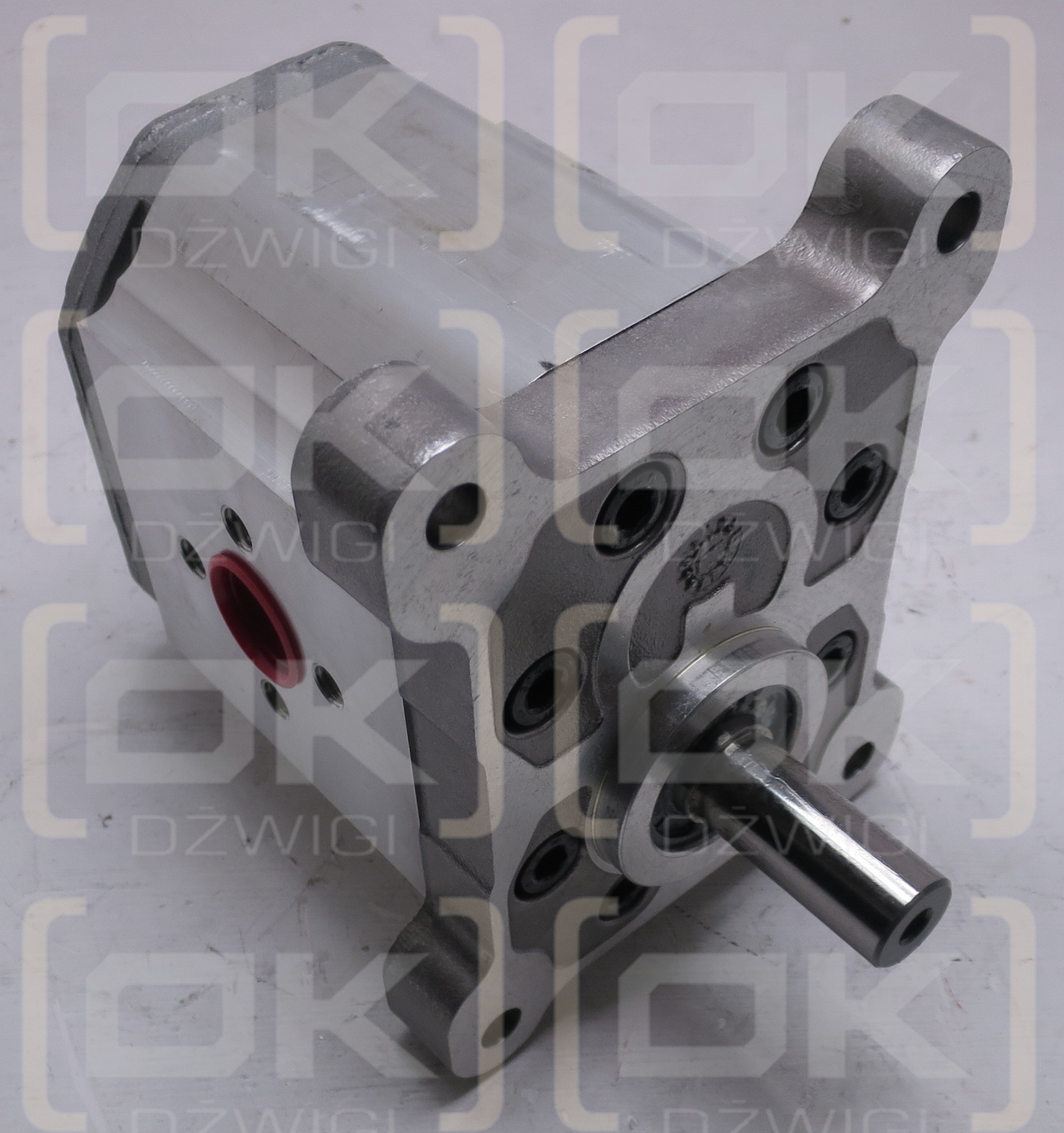 SNP3 55S 55LPCSB