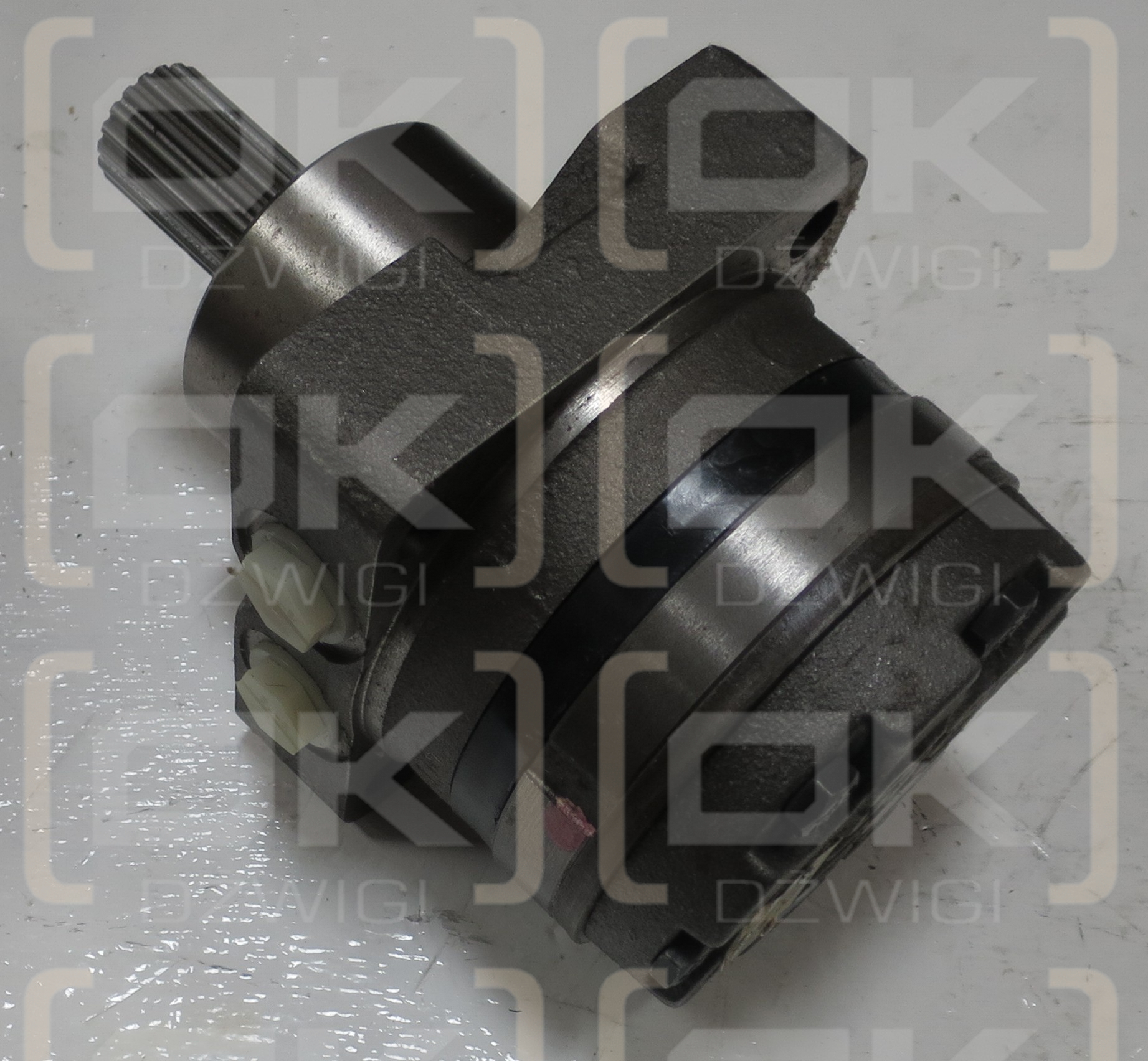 WHITE 204CC MOTOR 19 T'TH SPLI