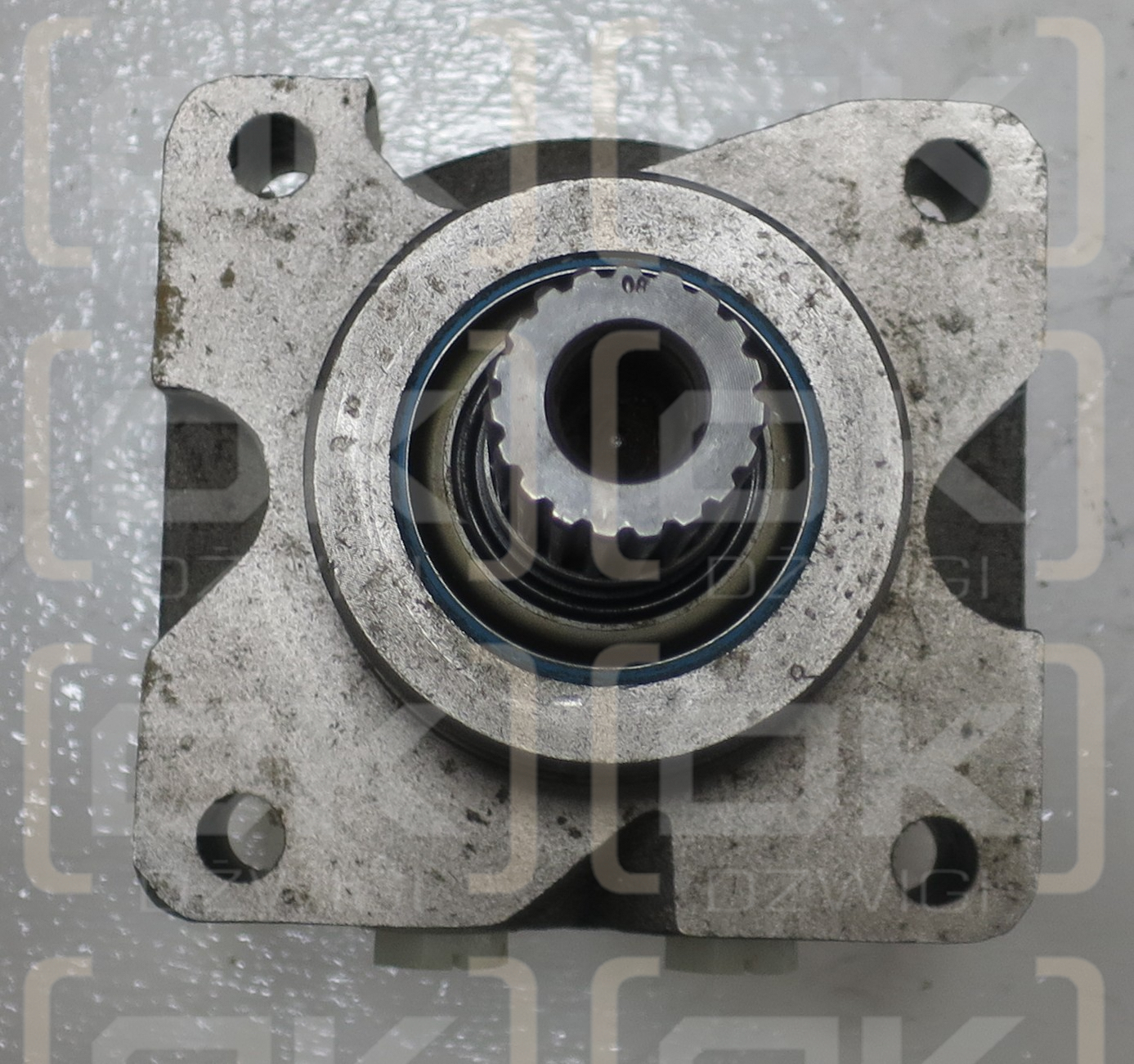 WHITE 204CC MOTOR 19 T'TH SPLI