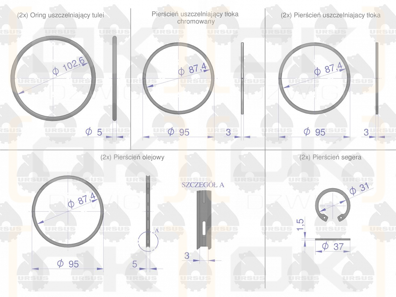 Zestaw naprawczy silnika 55110018 950116 C-360 ORYGINAŁ URSUS