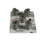 Ślimak supłacza Prasa Kostka Sipma