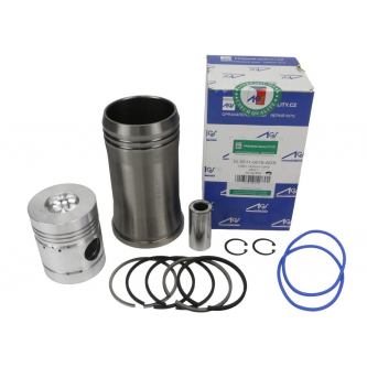 Engine Repair Kit 55110018 950116 C-360 Czech