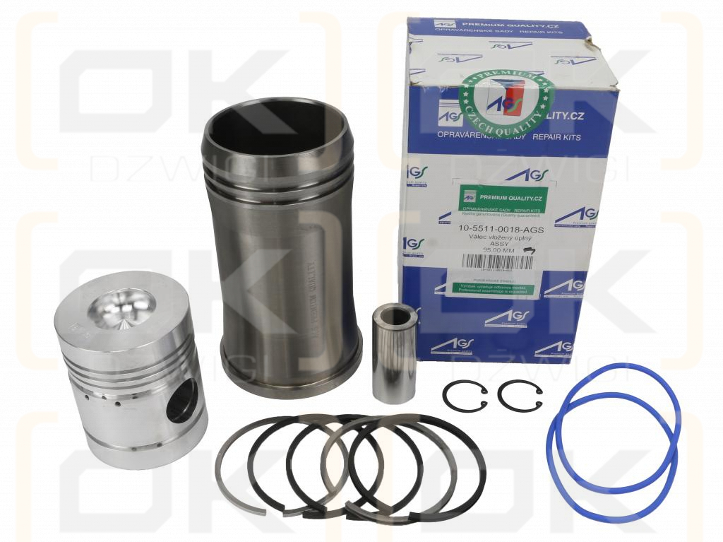 Engine Repair Kit 55110018 950116 C-360 Czech