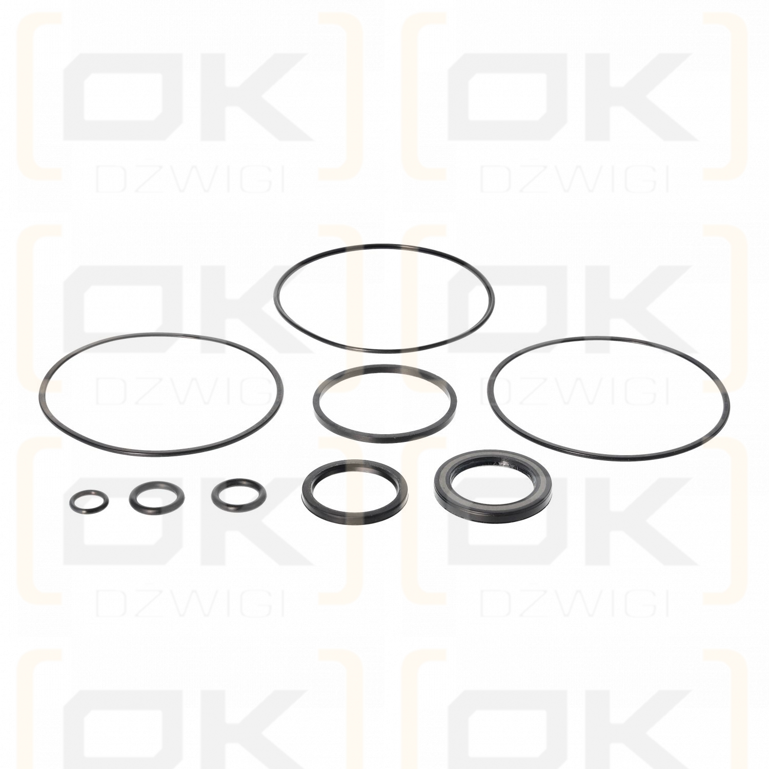 Zestaw uszczelnień R-002/S-011 silnika hydraulicznego  Eaton Char-Lynn