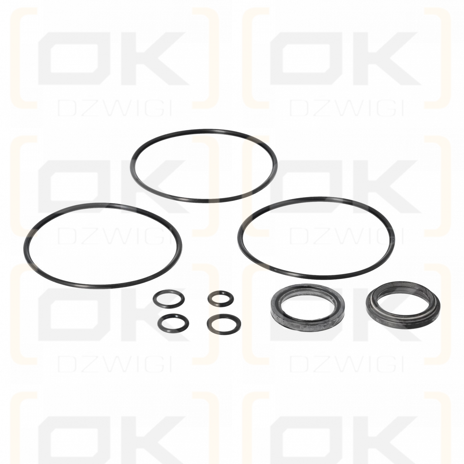 Char-Lynn Eaton Hydraulic Motor Seal Kit