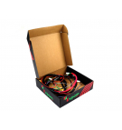 Wiązka główna  przewodów Zetor 62115701 EXPOM KWIDZYN eu