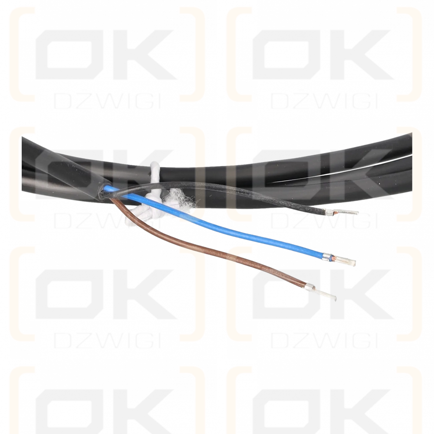 Actuator/sensor cable, PVC – Connecting cable PKG3M-2/TEL