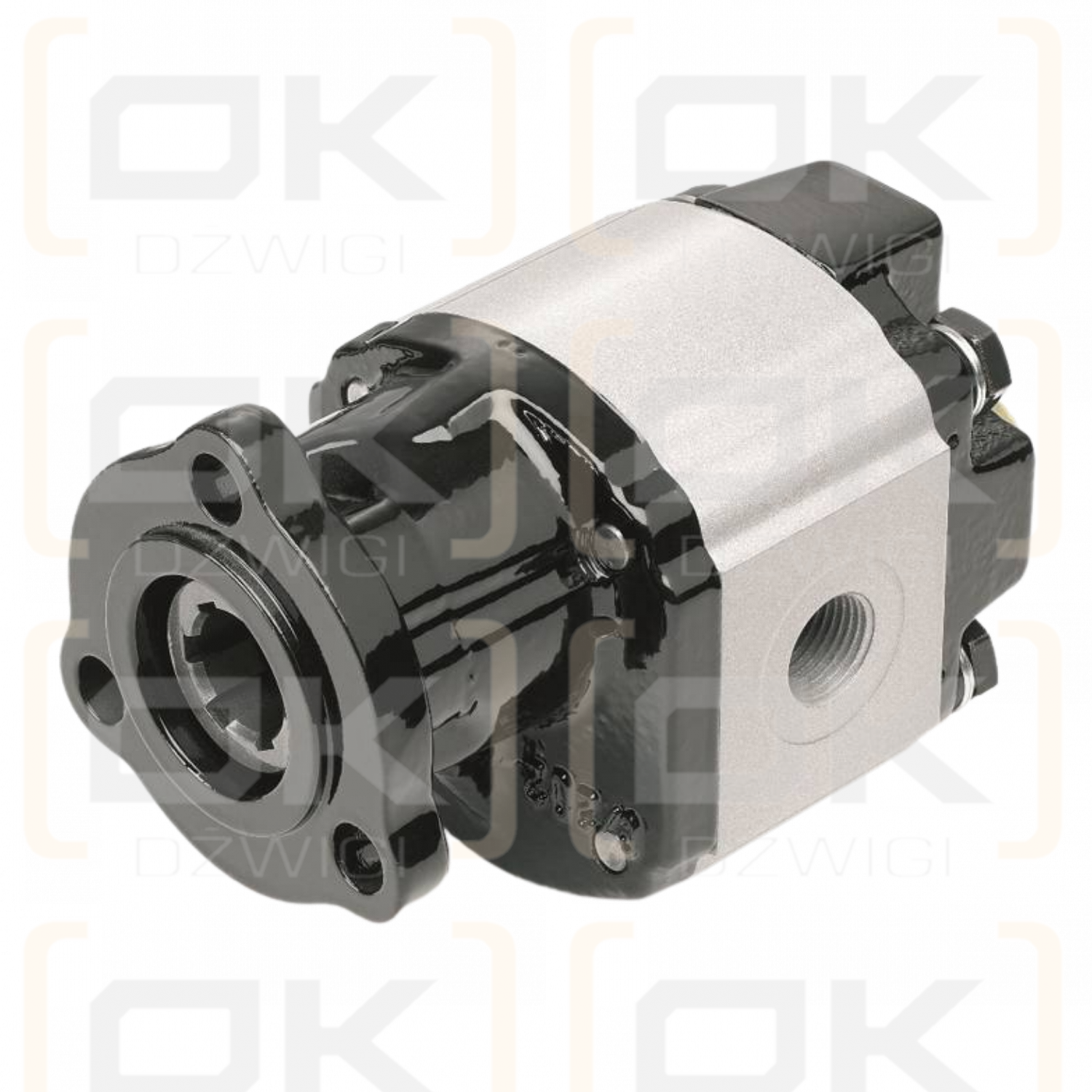 Parker GP1-029-3 Zahnradpumpe; Gusseisen