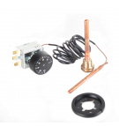 Adjustable thermostat 0-90 * C