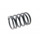 Sprężyna zaworu zewnętrzna 80005013 C-385