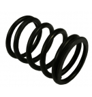 Sprężyna zaworu zewnętrzna 80005013 sprzedawane po 10 C-385 ORYGINAŁ URSUS