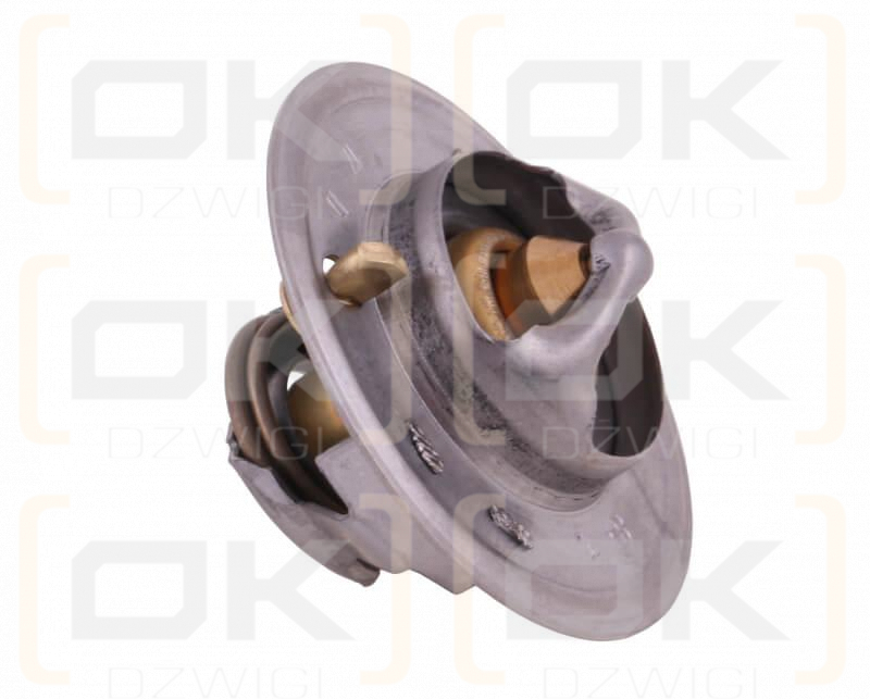 Termostat 895311H1 Landini Case POLMO