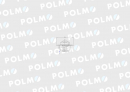 Termostat 895311H1 Landini Case POLMO