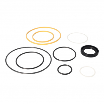 SEAL KIT 4520V
