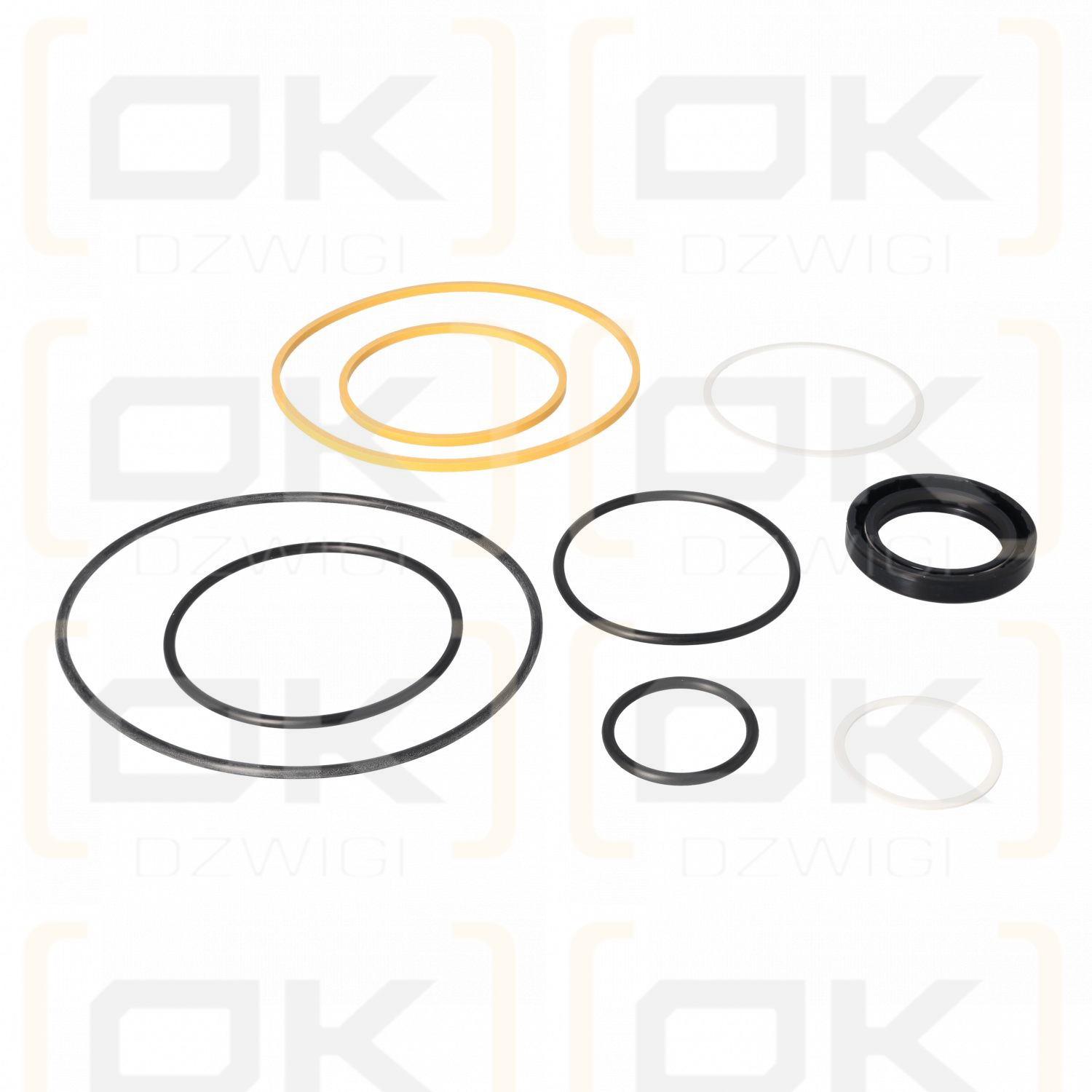 SEAL KIT 4520V