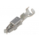 AMP-Junior female contact