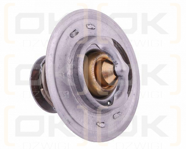 Termostat 98463637 Case POLMO