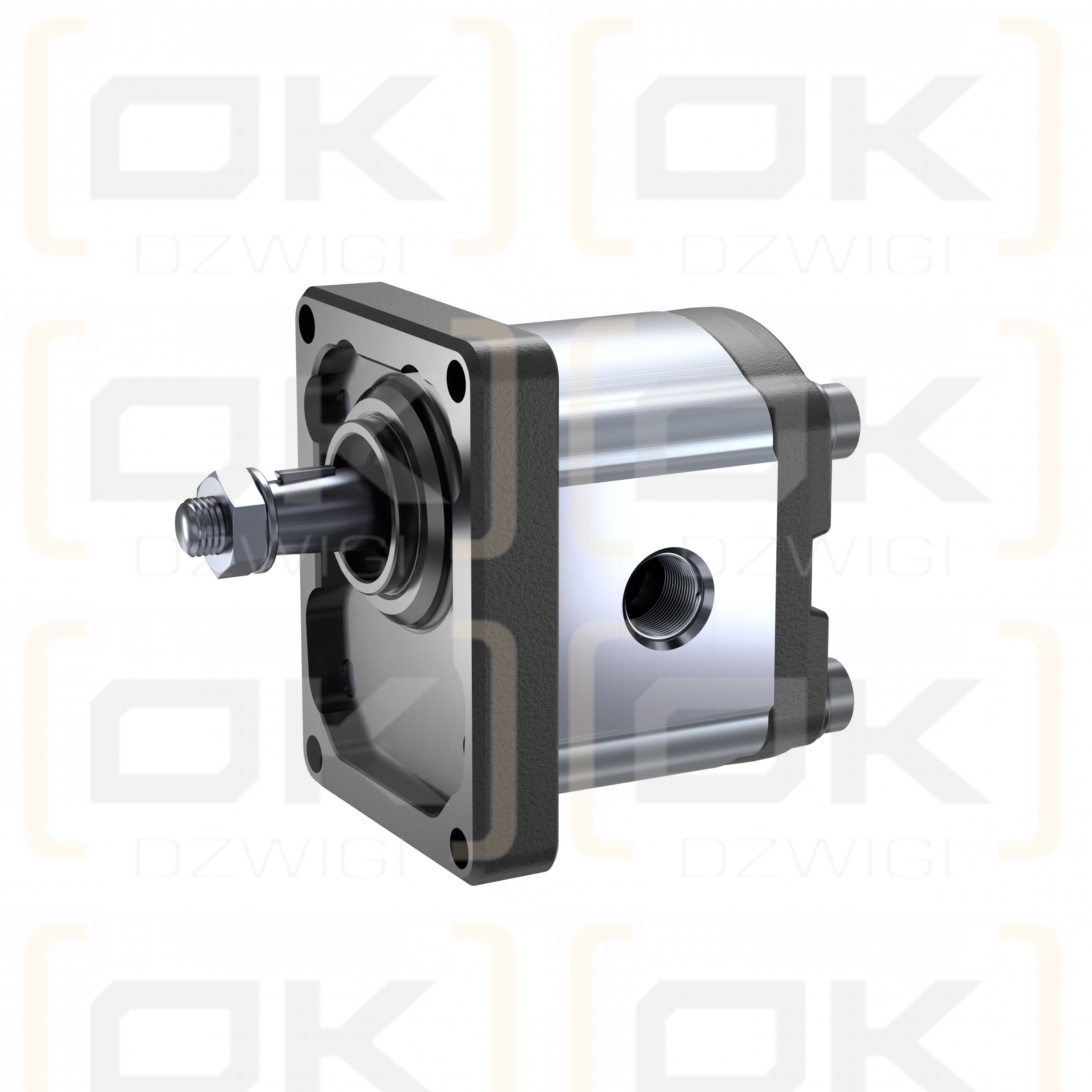 Pompa zębata Bosch Rexroth AZPF-11-008RHO01MB