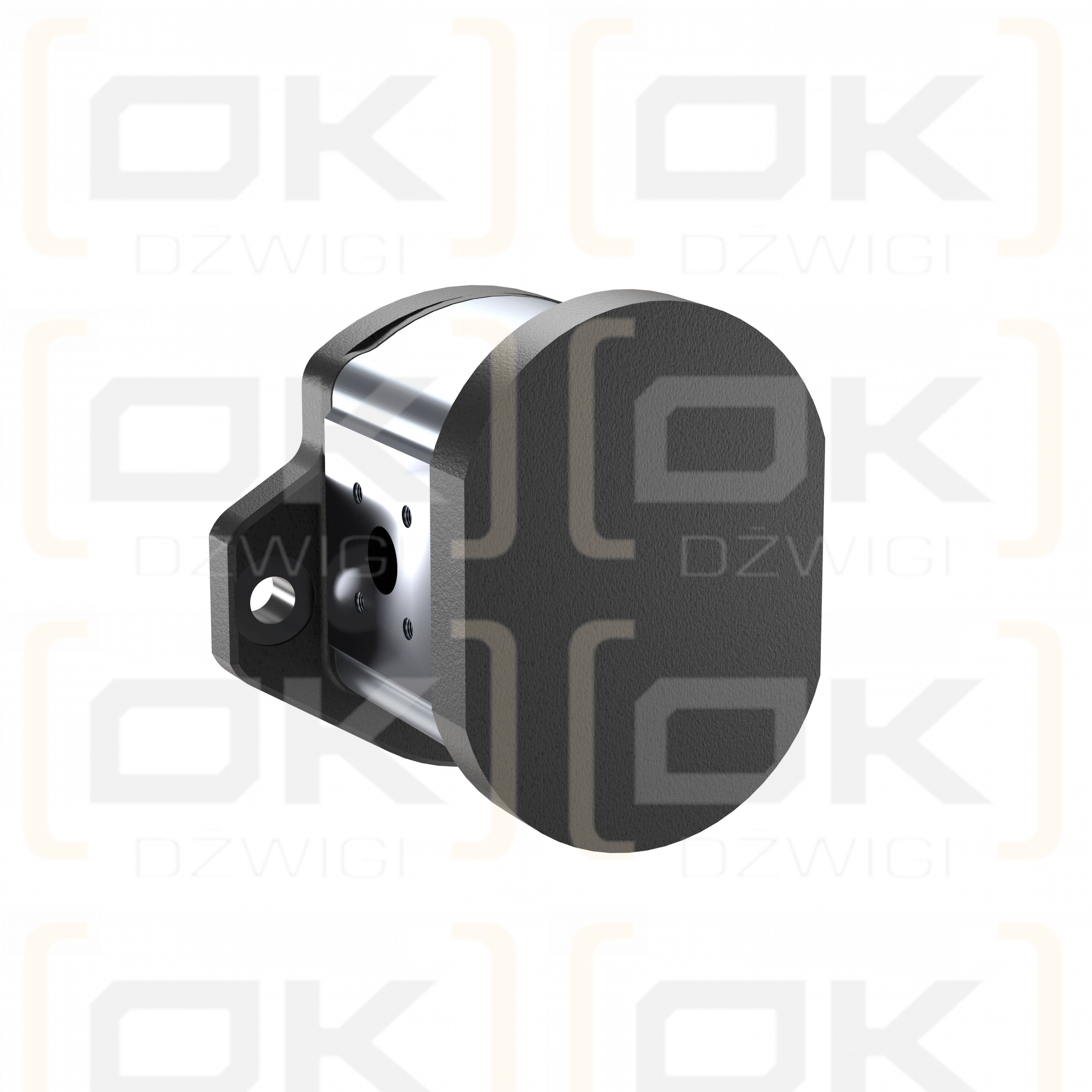 AZPF-11-011LRR20MV18012