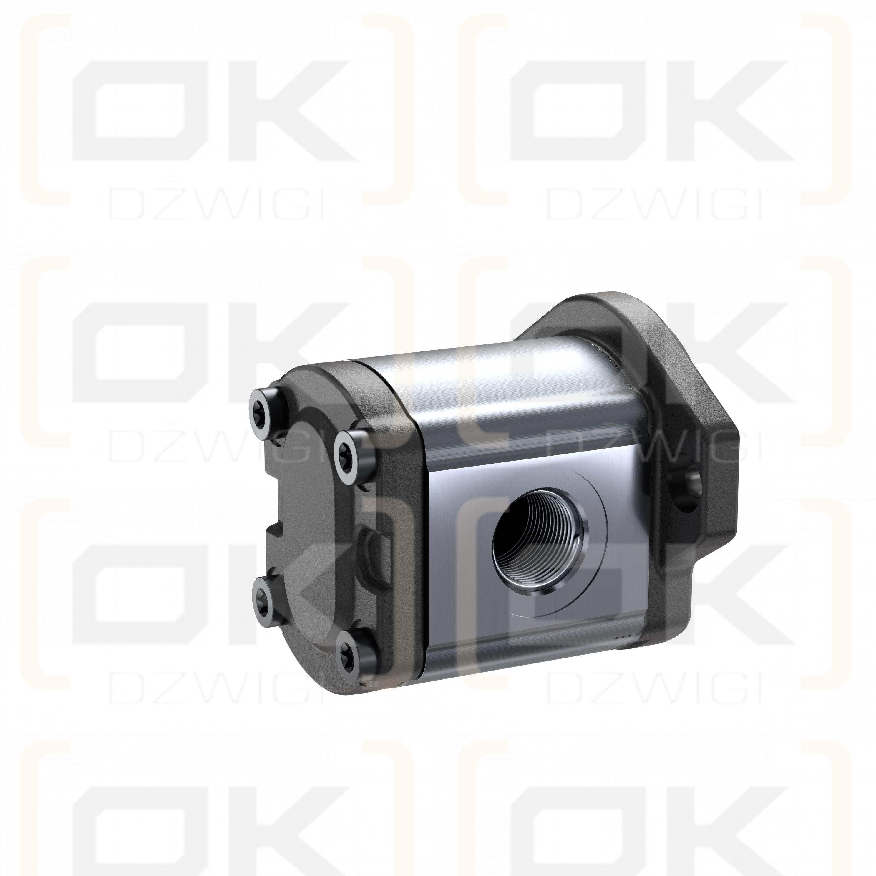 Pompa zębata Bosch Rexroth AZPF-11-022RRR03KB-S0081