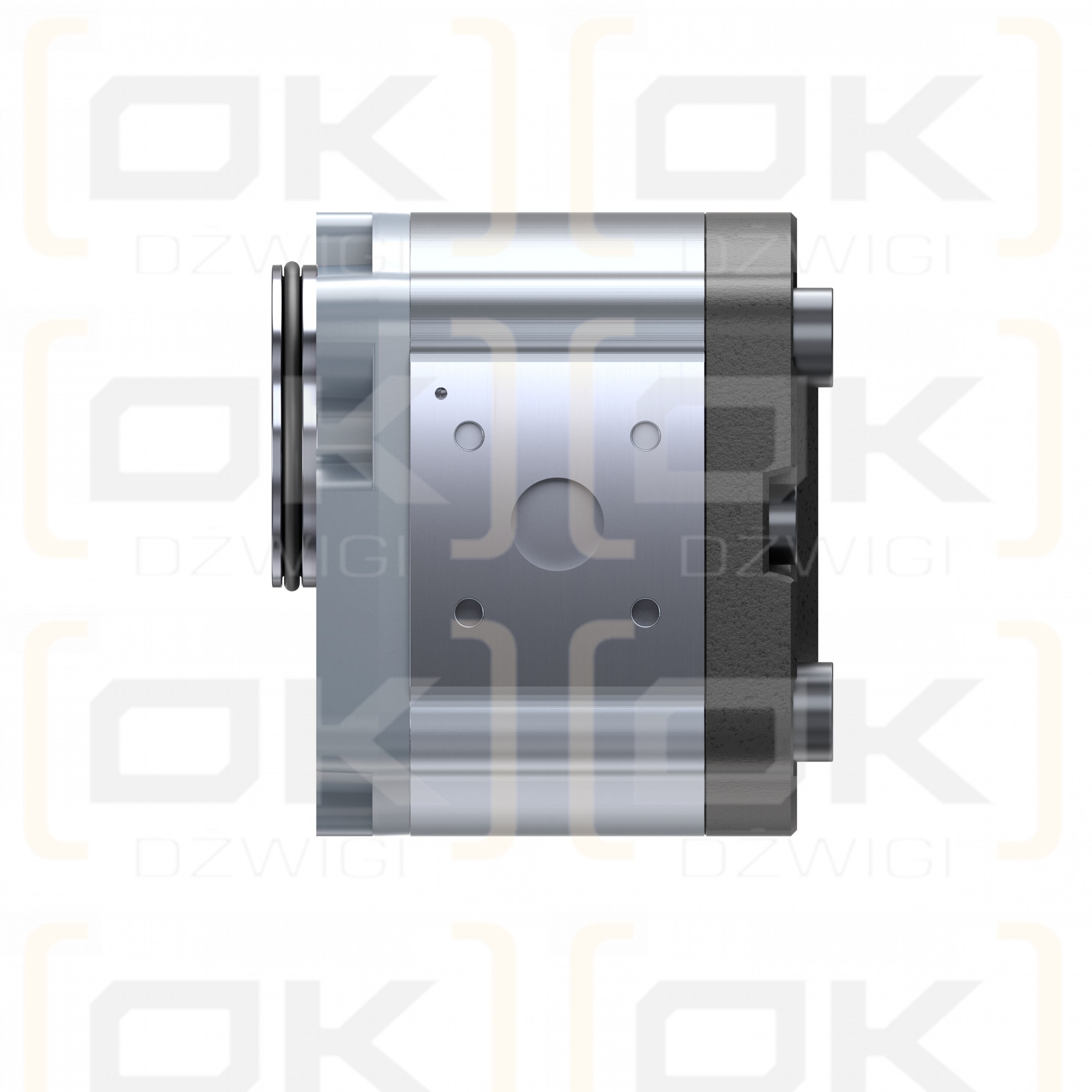 Pompa zębata Bosch Rexroth AZPF-11-005LNT20MB