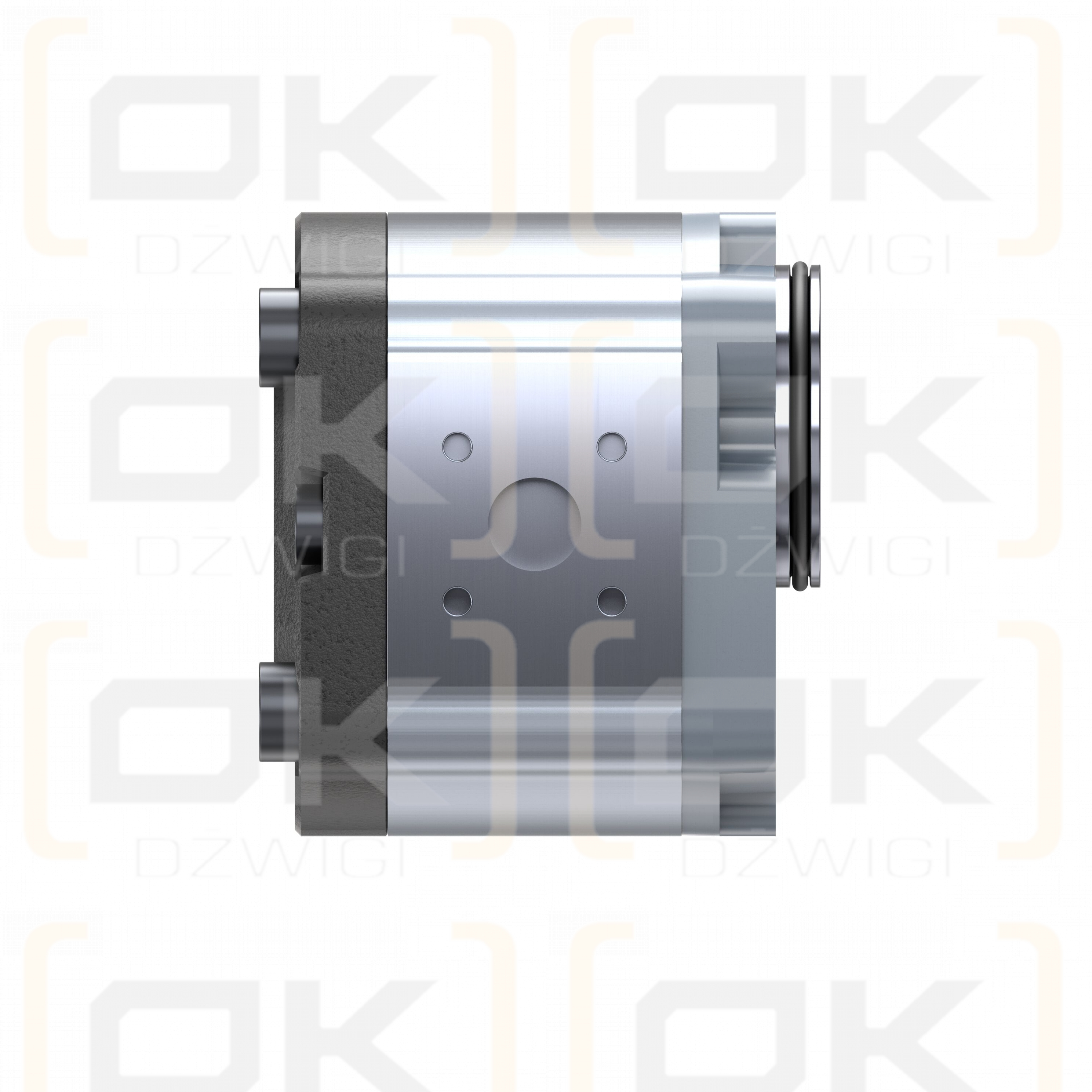 Pompa zębata Bosch Rexroth AZPF-11-005LNT20MB