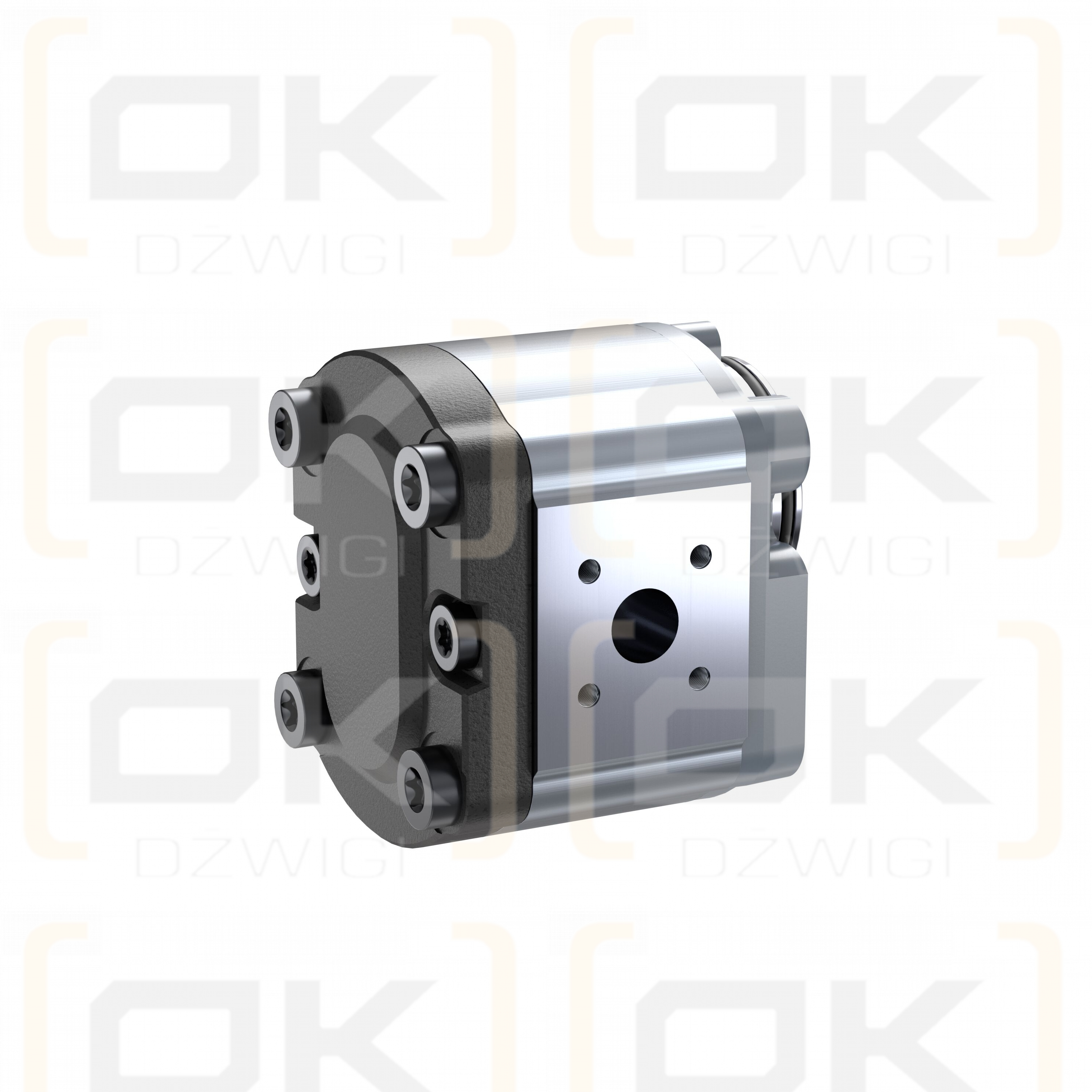 Pompa zębata Bosch Rexroth AZPF-11-005LNT20MB