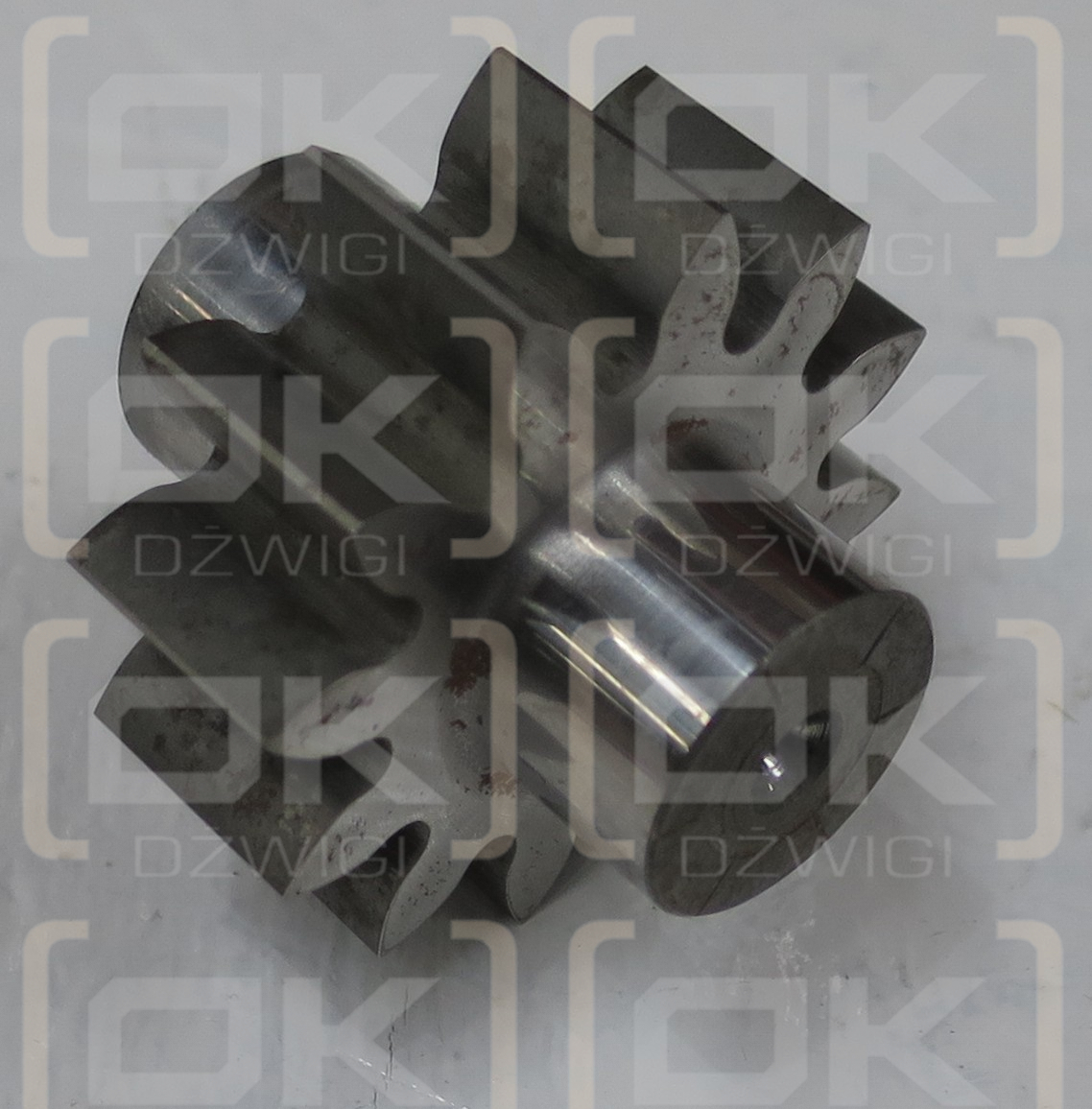 DRIVEN GEAR FOR CCLS PAS PUMP
