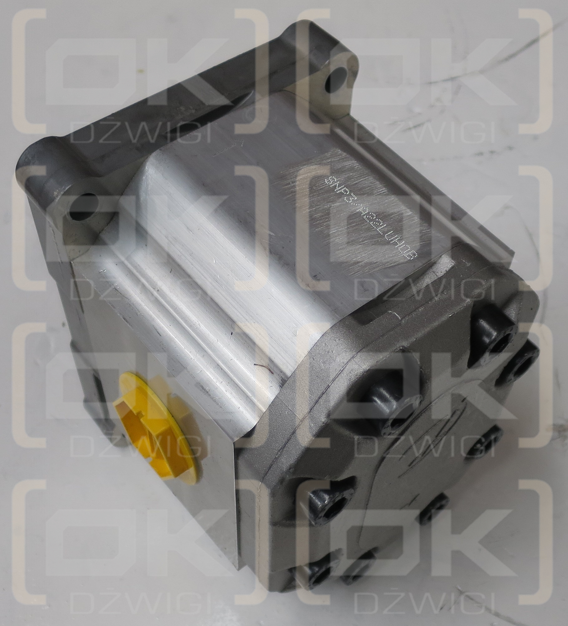 SNP3 A22L S