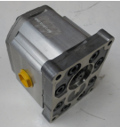 SNP3 A22L S