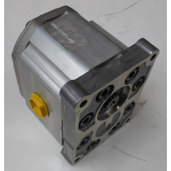 SNP3 A22L S