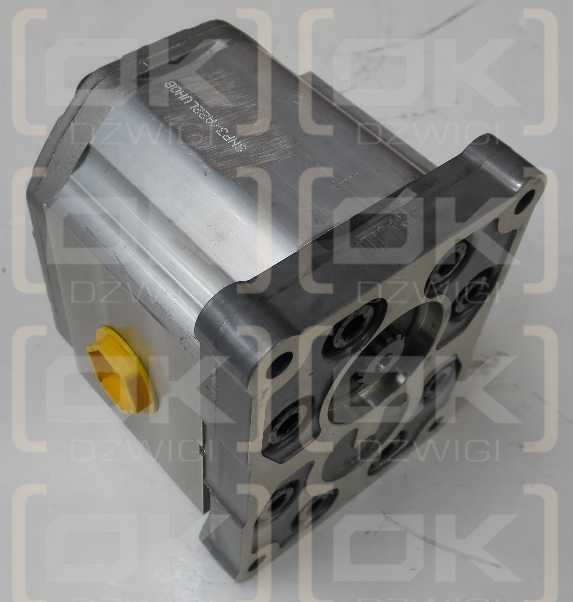 SNP3 A22L S