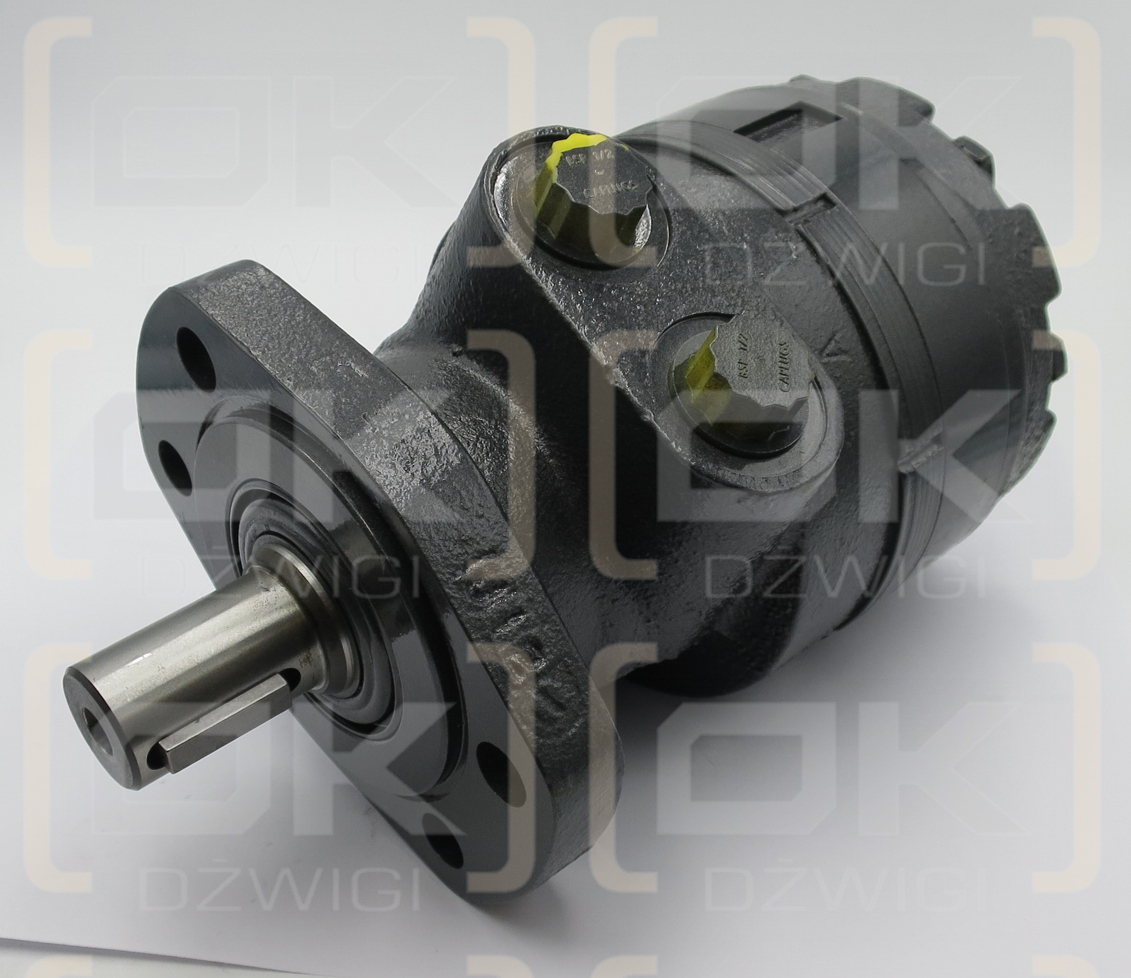 WHITE 300CC/REV 1'' SHAFT