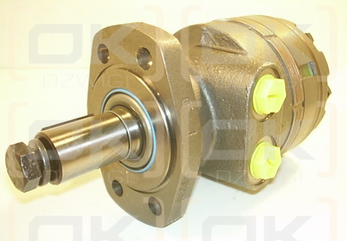 300CC/REV 1.25'' PARALLEL SHAFT