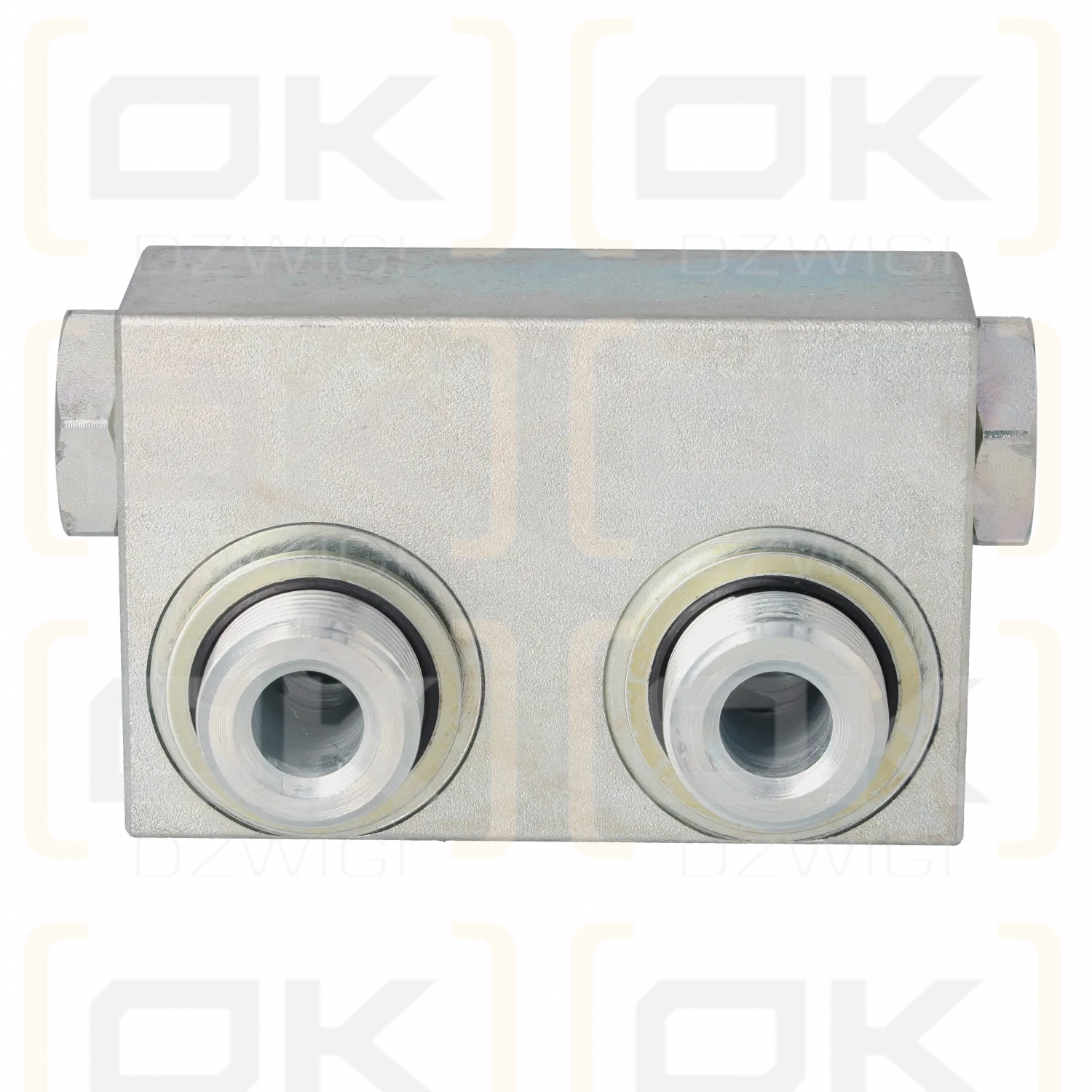 Villa Hydraulics Anti-Kavitationsventil 3/4" BSP 350 bar