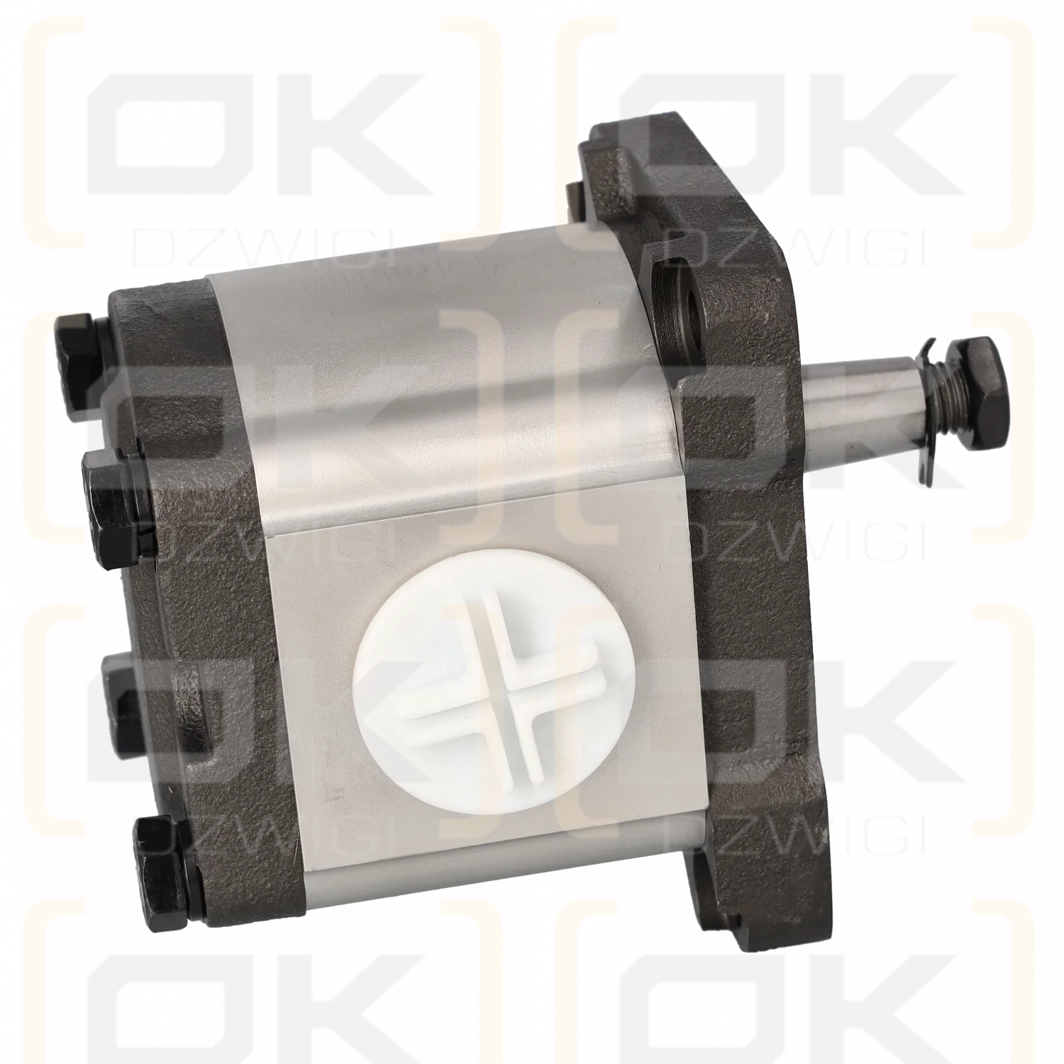 ALHP2-B0-X-14-T0-L1 Zahnradpumpe; Marzocchi-Ersatz