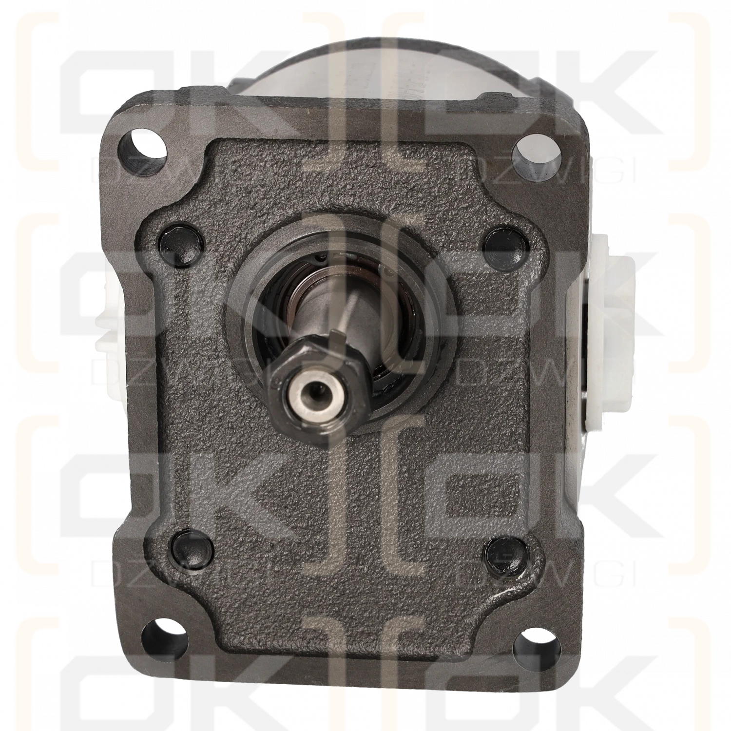 ALHP2-B0-X-14-T0-L1 Zahnradpumpe; Marzocchi-Ersatz