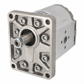 Hydraulic pump BG30 52 ST0 A T80 EE5 D