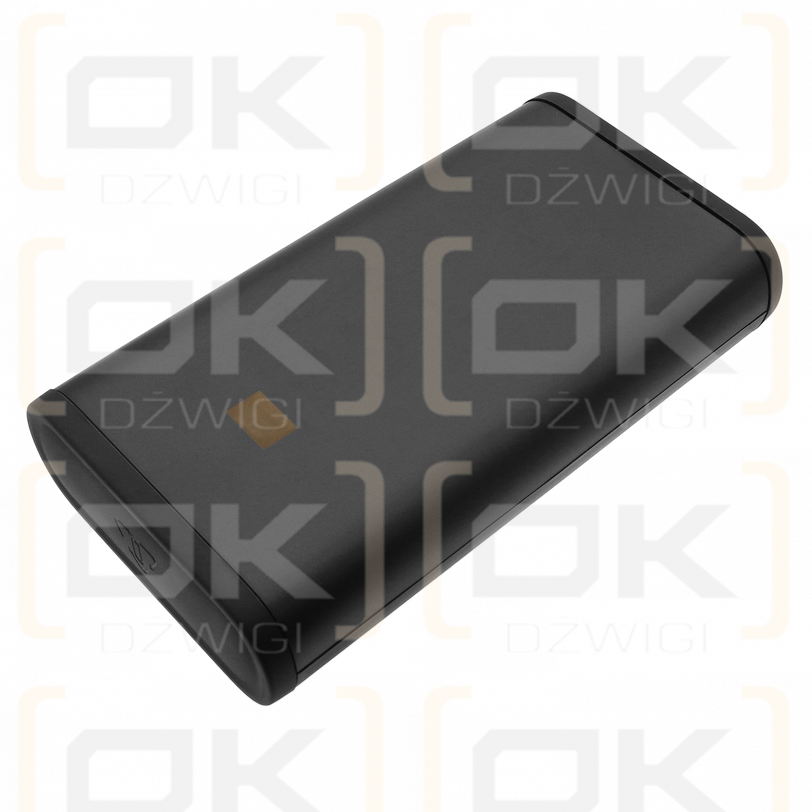 AEG 8000 / 6.01.52.12-0 2500 mAh Li-Ion 25,2 V (Cameron Sino)