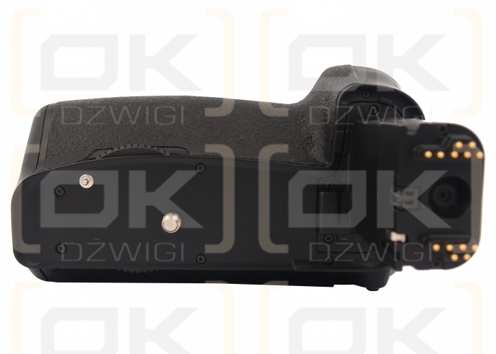 Canon EOS 60D / BG-E9 (Cameron Sino)