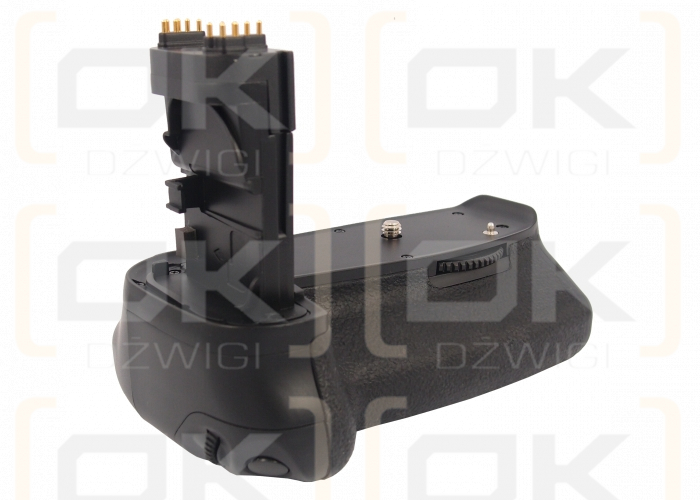 Canon EOS 60D / BG-E9 (Cameron Sino)