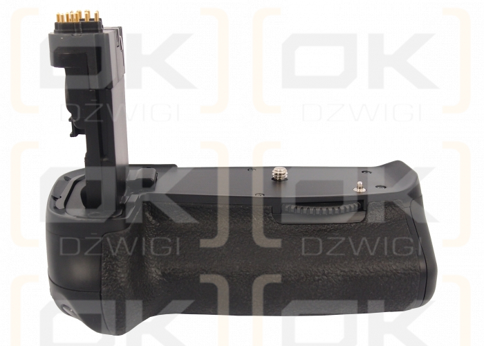 Canon EOS 60D / BG-E9 (Cameron Sino)