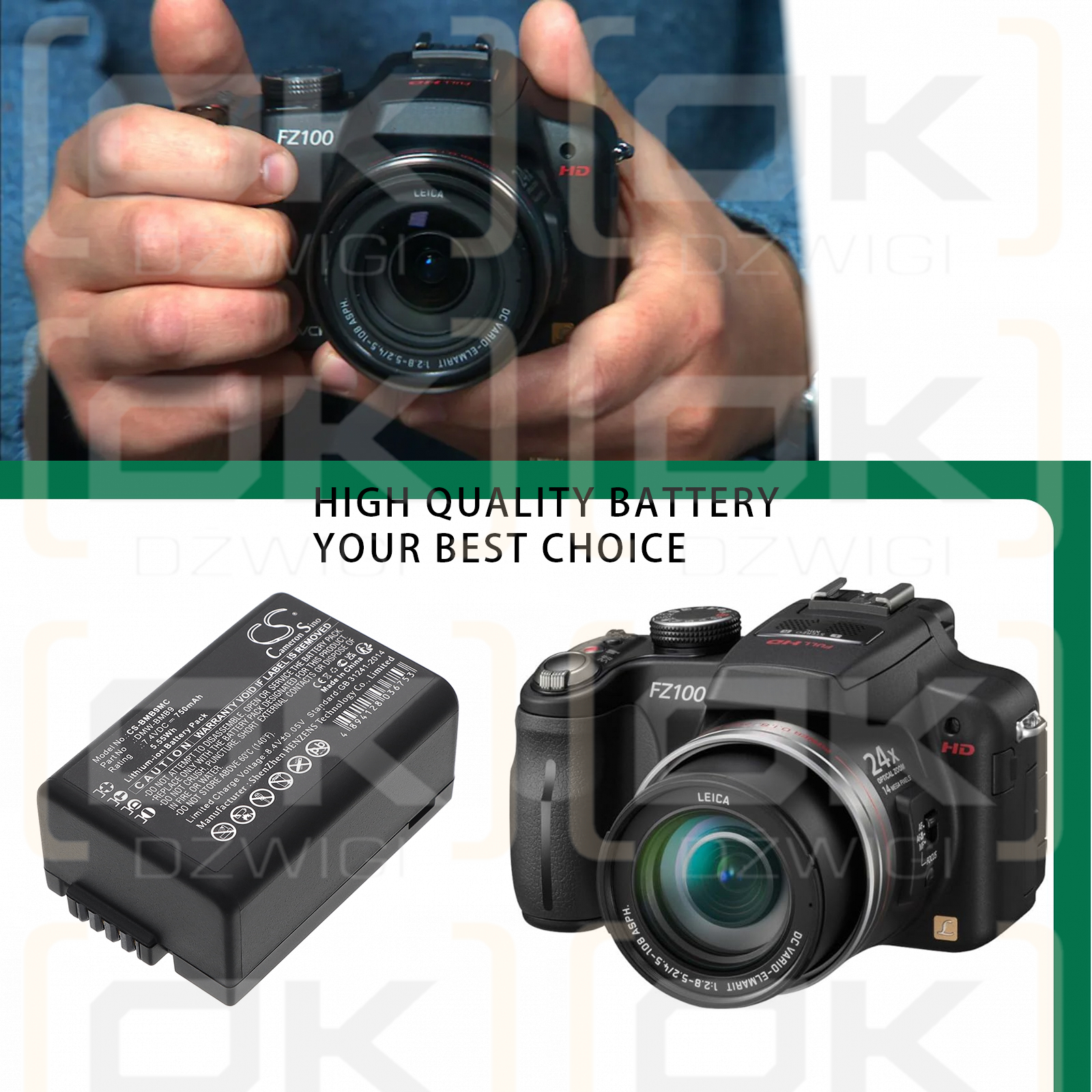 Panasonic Lumix DMC-FZ80k / DMW-BMB9 750 mAh Li-ion 7,4 V (Cameron Sino)