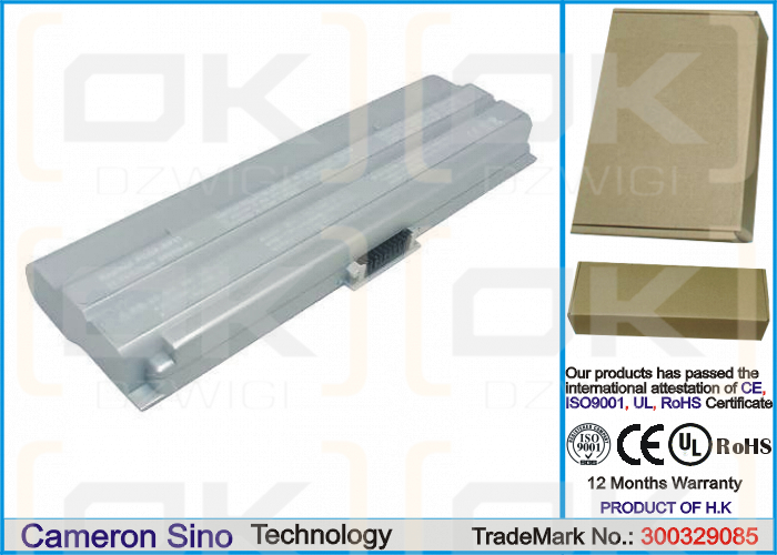 Sony VAIO PCG-TR2 / PCGA-BP3T 6600 mAh Li-Ion 11,1 V (Cameron Sino)